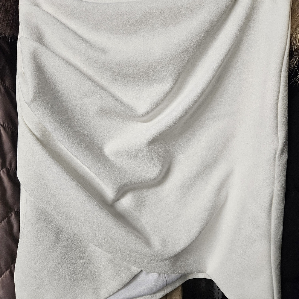 Nwwt zara xs skirt - Picture 3 of 3